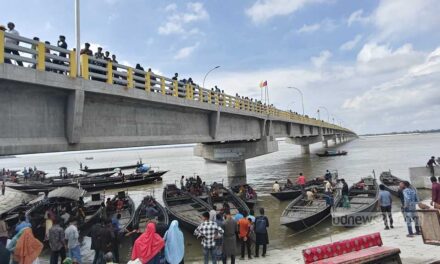 বিদ্যুতের তারের পর এবার ভাসানী সেতুর ‘রিফ্লেক্টর লাইট’ চুরি
