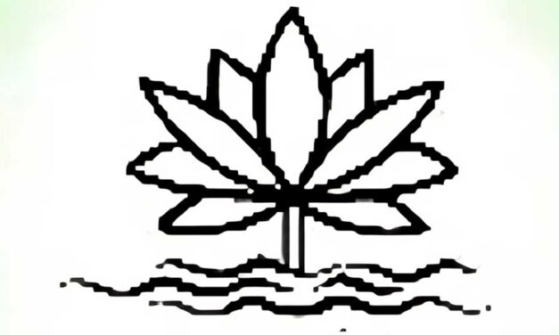 এবার শাপলার পাশাপাশি সাদা কিংবা লাল শাপলা চায় এনসিপি
