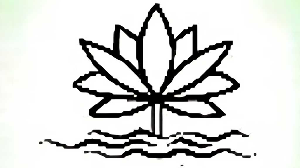 এবার শাপলার পাশাপাশি সাদা কিংবা লাল শাপলা চায় এনসিপি