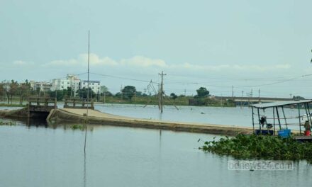 ‘কাঙ্ক্ষিত’ পানি নেই হাওরে, প্রভাব পড়বে মাছ-কৃষিতে