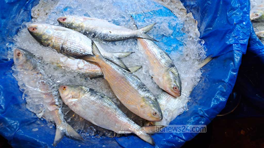 সবজির দাম কমার লক্ষণ নেই, কিছুটা কমে মিলছে ইলিশ