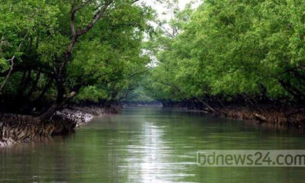 জাতীয় পরিবেশ পদক পাচ্ছে ৩ ব্যক্তি ও প্রতিষ্ঠান