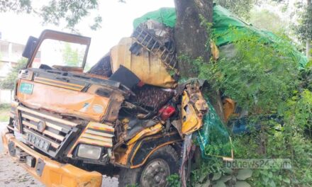 মাগুরায় গাছে ট্রাকের ধাক্কা, চালকের সহকারী নিহত