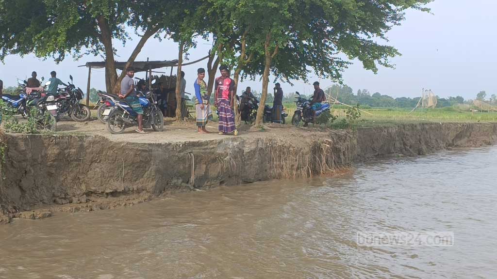 মানিকগঞ্জের চরাঞ্চলে পদ্মার ভাঙন: ‘আমাগো সব শ্যাষ হইয়া যাইতেছে’