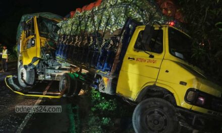 রাজবাড়ীতে দাঁড়িয়ে থাকা ট্রাকে আরেক ট্রাকের ধাক্কা, চালকসহ নিহত ২