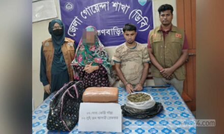 ব্রাহ্মণবাড়িয়ায় গাঁজাসহ ভাই-বোন আটক