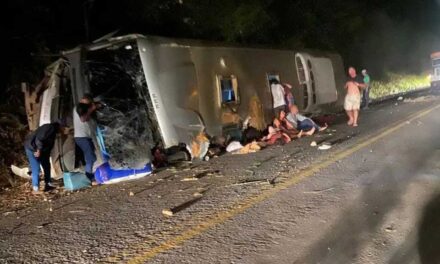 ব্রাজিলে সড়ক দুর্ঘটনায় বাসের ১৫ আরোহী নিহত