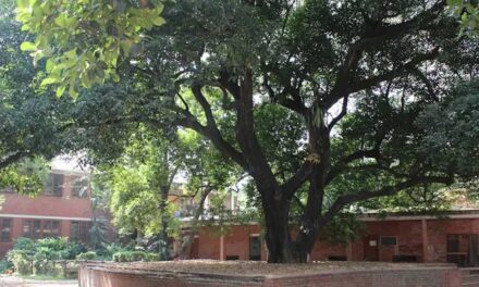 শরৎ উৎসব বাতিল নয়, ‘স্থগিত’: চারুকলার ডিন