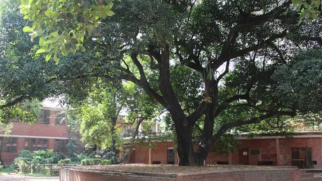 শরৎ উৎসব বাতিল নয়, ‘স্থগিত’: চারুকলার ডিন