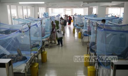 ডেঙ্গু: এক দিনে ৩ মৃত্যু, হাসপাতালে ভর্তি ৮৫৭ রোগী
