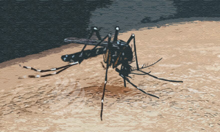 ডেঙ্গুতে আরো চারজনের মৃত্যু, আক্রান্ত ছাড়াল ৬০ হাজার