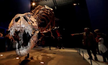 প্যারিসের জাদুঘর থেকে বিপুল সোনা চুরি, চীনা নারী অভিযুক্ত