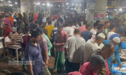 নিষেধাজ্ঞা শুরুর রাতে ফরিদপুরে ইলিশ মাছের মেলা, ক্রেতার ঢল