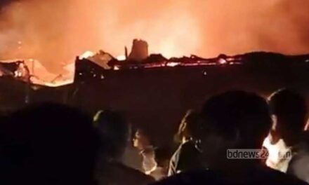 ফরিদপুরে পুড়ল ১৭ দোকান