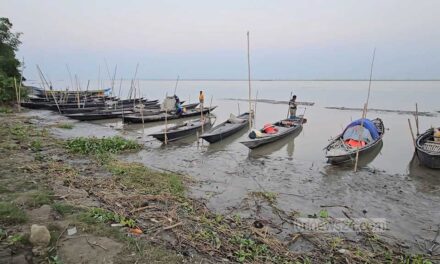 নিষেধাজ্ঞা উপেক্ষা করেই পদ্মায় নেমেছেন জেলেরা