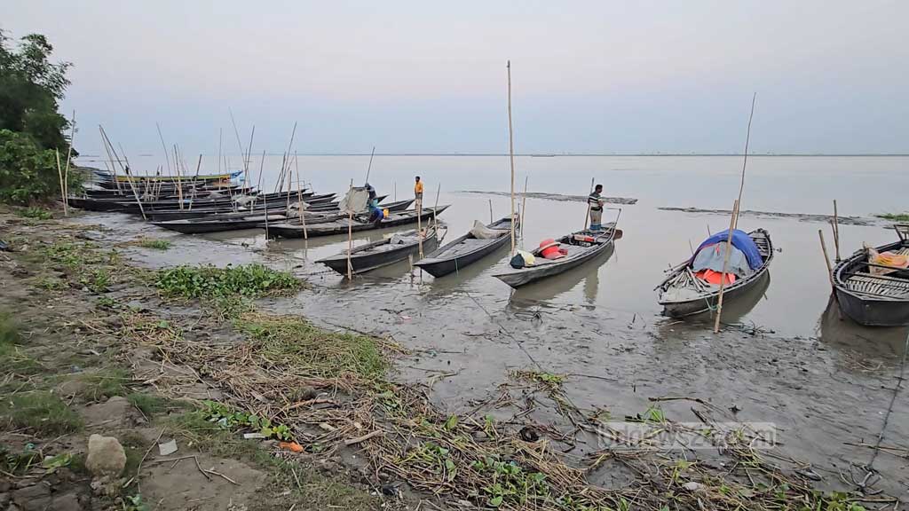 নিষেধাজ্ঞা উপেক্ষা করেই পদ্মায় নেমেছেন জেলেরা