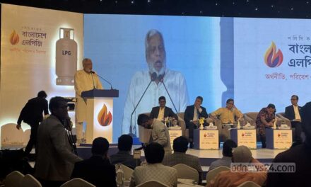 এলপিজি সিলিন্ডারের দাম হওয়া উচিত ‘হাজারের নিচে’: জ্বালানি উপদেষ্টা