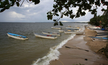 ক্যারিবীয় সাগরে মার্কিন হামলা ‘বিচারবহির্ভুত হত্যাকাণ্ড’, বলছেন জাতিসংঘ বিশেষজ্ঞরা