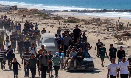 গাজার ক্ষমতা ছেড়ে দিতে প্রস্তুত হামাস, তবে নিরস্ত্র হবে না