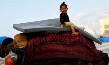 ইসরায়েলি সেনা প্রত্যাহার শুরু, উত্তর গাজায় ফিরছে বাস্তুচ্যুত পরিবারগুলো