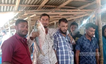 প্রথম দিনই ধরা পড়ল আড়াই কেজির ইলিশ, ৯২০০ টাকায় বিক্রি