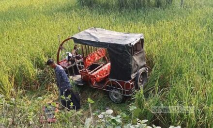 লালমনিরহাটে ব্যাটারিচালিত রিকশা উল্টে নিহত ২