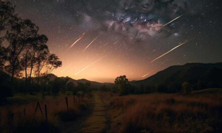 মঙ্গলবার বাংলাদেশে কখন, কোথায় দেখা যাবে উল্কাপাত?
