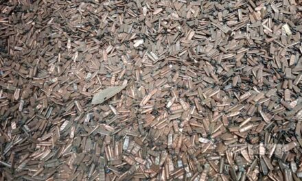 নাটোরে ব্যবসায়ীর গুদামে ‘সাড়ে ১৩ টন’ গুলির খোসা, চাঞ্চল্য