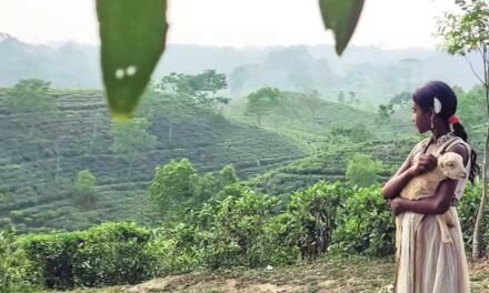 যুক্তরাষ্ট্রের এমা অ্যাওয়ার্ডে পুরস্কার জিতল দেশের ‘নিশি’