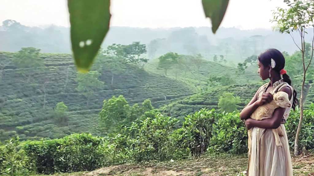 যুক্তরাষ্ট্রের এমা অ্যাওয়ার্ডে পুরস্কার জিতল দেশের ‘নিশি’