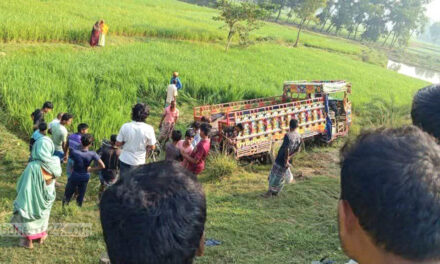 নওগাঁয় গরুবোঝাই ভটভটি উল্টে ২ ব্যবসায়ী নিহত