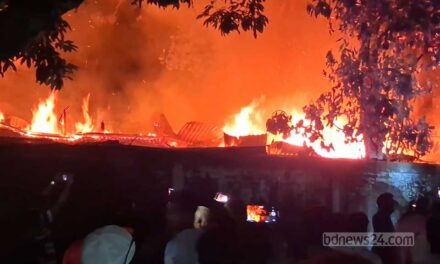 নেত্রকোণায় আগুনে দুই পরিবারের বসতঘর ছাই, বৃদ্ধা দগ্ধ