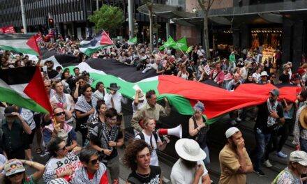 হামাস যে ইসরায়েলি জিম্মিদের ছাড়ছে তারা কারা?