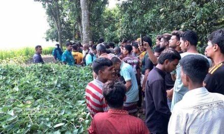 রাজশাহীতে ধান খেতে নারীর লাশ, ধর্ষণের পর হত্যা ধারণা পুলিশের