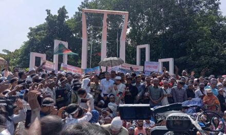 এমপিওভুক্ত শিক্ষকদের মূল্যায়ন করবে বিএনপি: এ্যানি