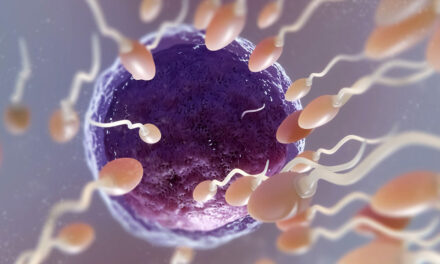 শুক্রাণুর শেষ দৌড়ের শক্তি রহস্য ভেদ করলেন বিজ্ঞানীরা