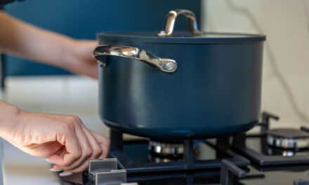 চুলা নষ্ট হচ্ছে যেসব অভ্যাসে