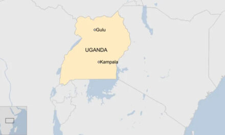 উগান্ডায় মহাসড়কে একসঙ্গে চার গাড়ি দুর্ঘটনায়, নিহত অন্তত ৪৬